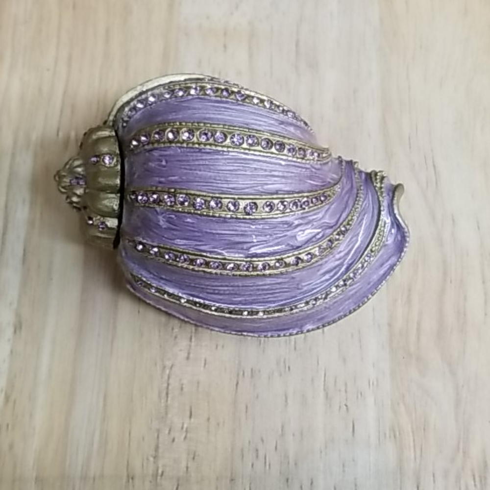 Seashell Decorative